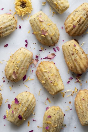 madeleines with dried flowers
